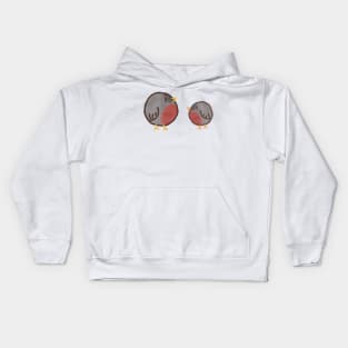 Chonky Robins Kids Hoodie